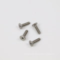 Stainless Steel 304/316 Hex Socket Head CSK Screw